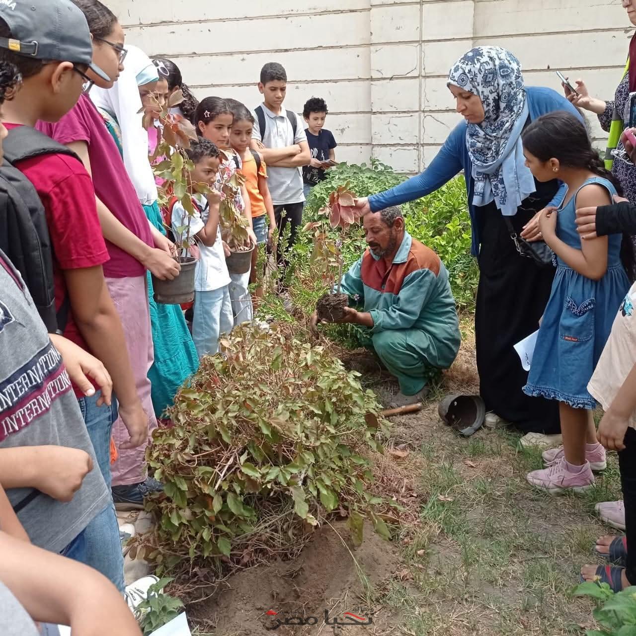 مكتبة المعادي العامة تدعم المبادرات البيئية بأنشطة تعليمية وتفاعلية متنوعة